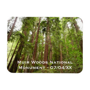 Hoch zu den Redwoods I im Muir Woods National Monu Magnet