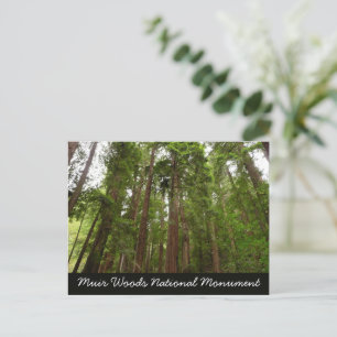 Hoch zu den Redwoods I im Muir Woods National Monu Postkarte