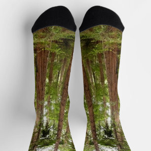 Hoch zu den Redwoods I im Muir Woods National Monu Socken