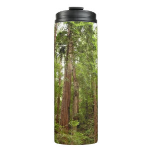 Hoch zu den Redwoods I im Muir Woods National Monu Thermosbecher