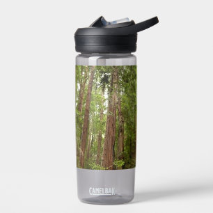 Hoch zu den Redwoods I im Muir Woods National Monu Trinkflasche