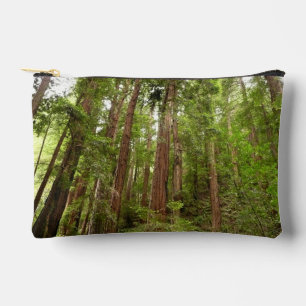 Hoch zu den Redwoods I im Muir Woods National Monu Zubehörtasche