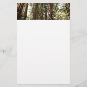 Hoch zu den Redwoods II im Muir Woods National Mon Briefpapier