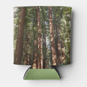 Hoch zu den Redwoods II im Muir Woods National Mon Dosenkühler