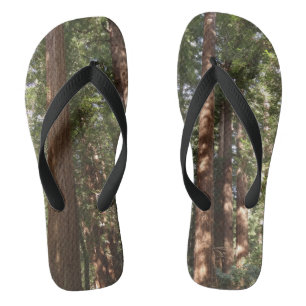 Hoch zu den Redwoods II im Muir Woods National Mon Flip Flops