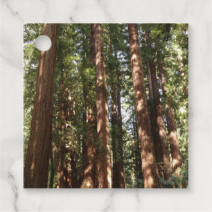 Hoch zu den Redwoods II im Muir Woods National Mon Geschenkanhänger
