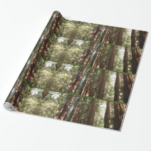 Hoch zu den Redwoods II im Muir Woods National Mon Geschenkpapier