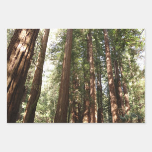 Hoch zu den Redwoods II im Muir Woods National Mon Geschenkpapier Set