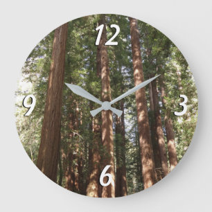 Hoch zu den Redwoods II im Muir Woods National Mon Große Wanduhr