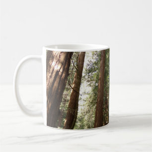Hoch zu den Redwoods II im Muir Woods National Mon Kaffeetasse