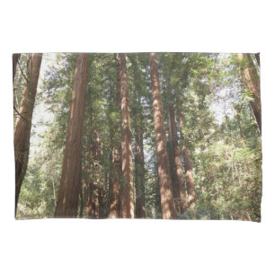 Hoch zu den Redwoods II im Muir Woods National Mon Kissenbezug