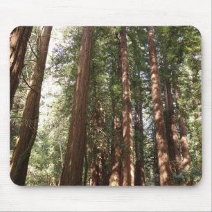 Hoch zu den Redwoods II im Muir Woods National Mon Mousepad