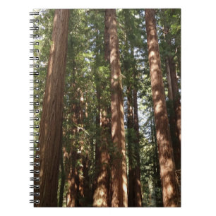 Hoch zu den Redwoods II im Muir Woods National Mon Notizblock