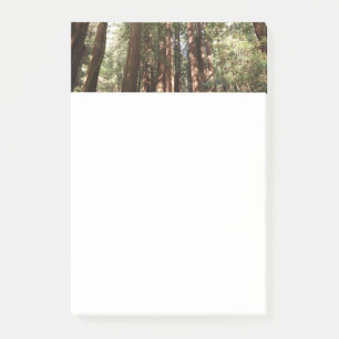 Hoch zu den Redwoods II im Muir Woods National Mon Post-it Klebezettel