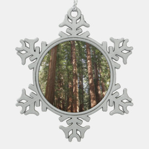 Hoch zu den Redwoods II im Muir Woods National Mon Schneeflocken Zinn-Ornament