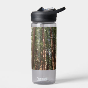Hoch zu den Redwoods II im Muir Woods National Mon Trinkflasche