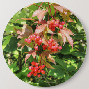 Hochbuschpreiselbeeren Button
