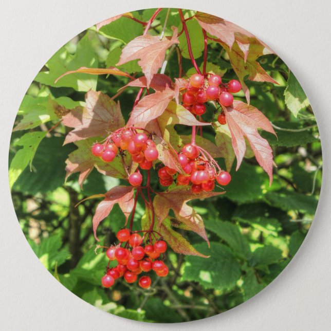 Hochbuschpreiselbeeren Button (Vorderseite)