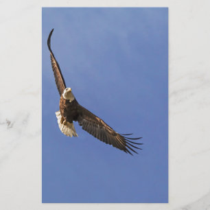 Hochfliegender Weißkopfseeadler Briefpapier
