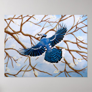 Hochfliegendes blaues Jay Poster