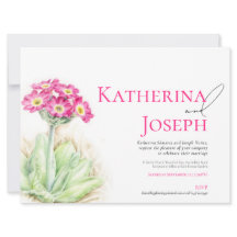 Hochgebirge Graslandschaft Rosa