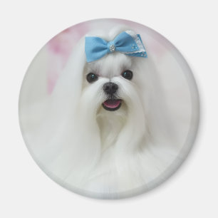 Hochladen Foto süßer niedlicher Hund Magnet