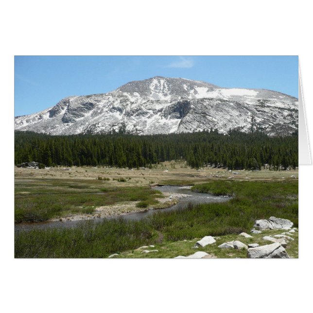 Hochland-Bergstrom I (Vorderseite (Horizontal))