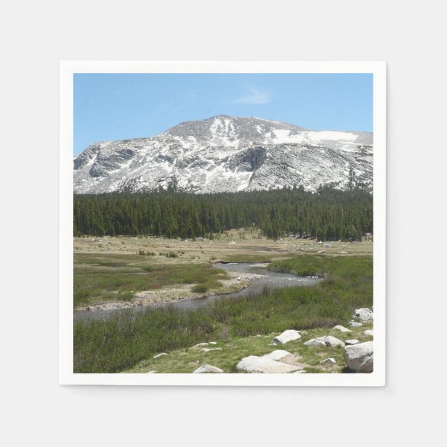 Hochland-Bergstrom I Serviette (Vorderseite)