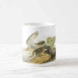 Hochland-Flussuferläufer durch Audubon Tasse