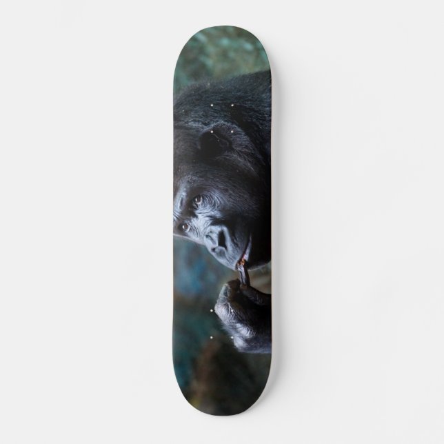 Hochland-Gorilla - Sammeln-Zähne Skateboard (Vorderseite)