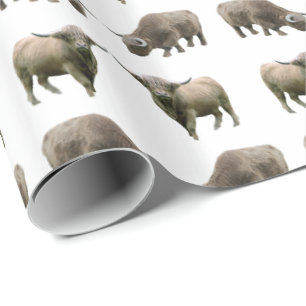 Hochland Kuh Frenzy Wrapping Paper (Farbe auswähle Geschenkpapier