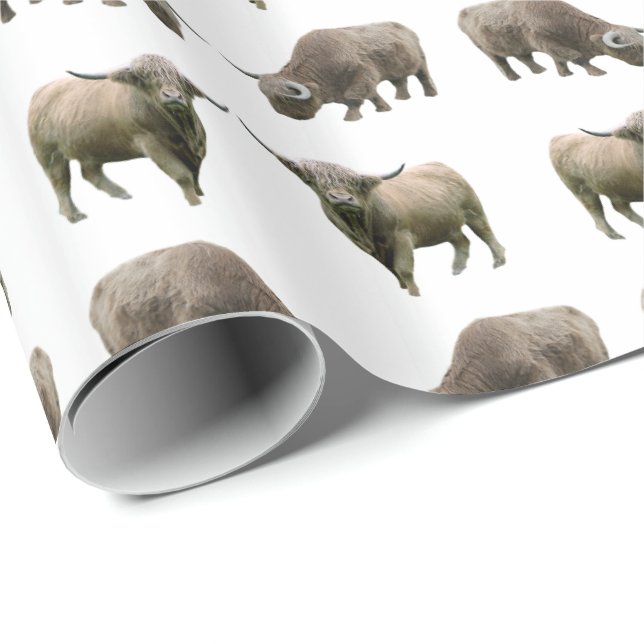 Hochland Kuh Frenzy Wrapping Paper (Farbe auswähle Geschenkpapier (Rolleneckpunkt)