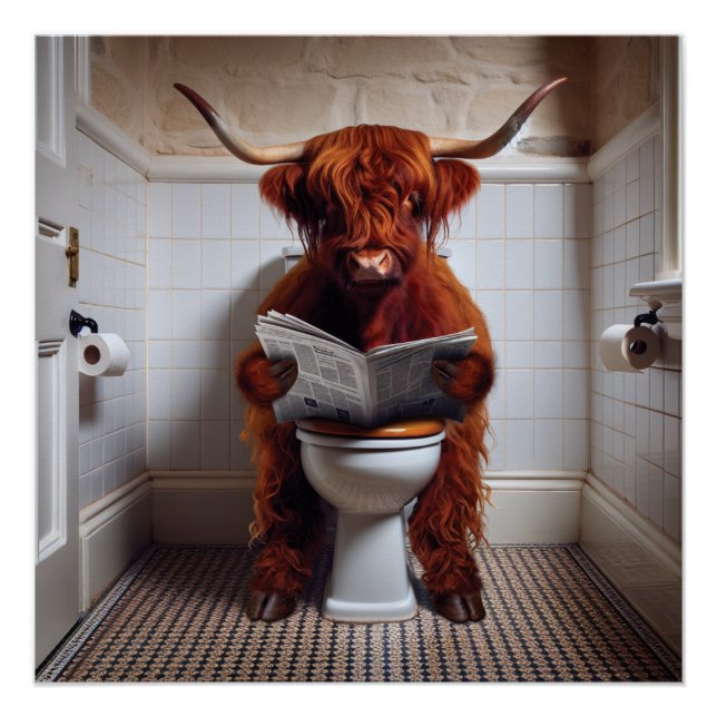 Hochland Kuh / Highland Cow / liest News Poster (Vorderseite)