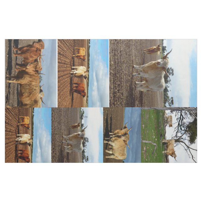 Hochland-Kühe-FotoCollage, Stoff (Yard (91,4 cm))