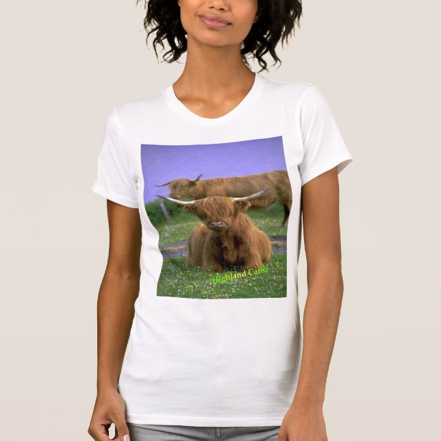 Hochland-Vieh T - Shirt (Vorderseite)