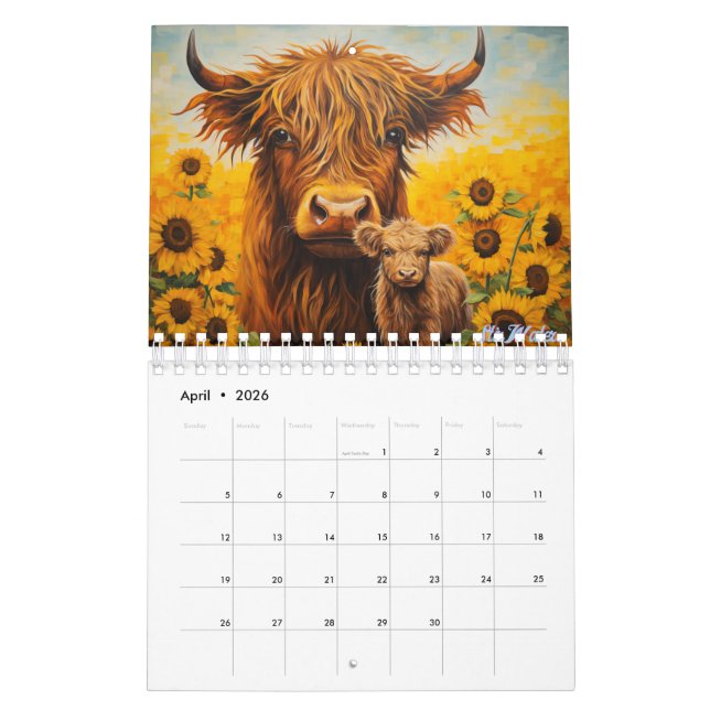 Hochlandkuh 2025 Kalender mit Kälbersonnenblume (Apr 2026)