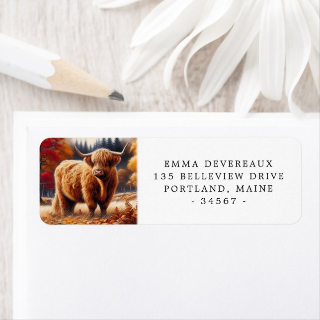 Hochlandkuh Herbstfarbe Rücksendeadresse (Insitu)