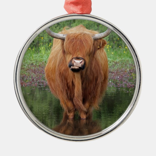Hochlandkuh Silbernes Ornament (Vorne)