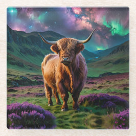 Hochlandkuh unter den Sternen Glasuntersetzer