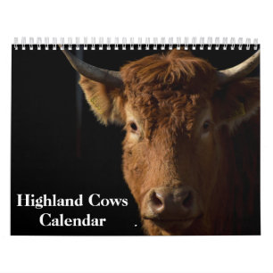 Hochlandkühe 2027 Kalender