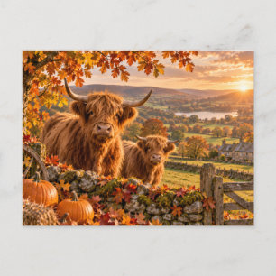 Hochlandkühe Herbstlandschaft Postkarte