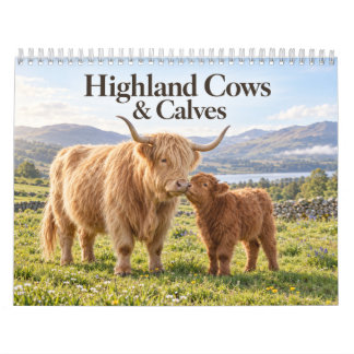 Hochlandkühe und Kälber schottische Landschaft Kalender