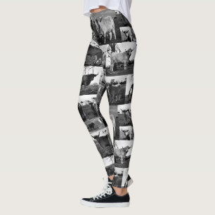 Hochlandkuhfoto-Collage in Schwarz und Weiß, Leggings
