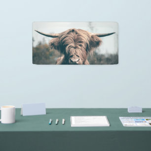Hochlandkuhportrait Banner