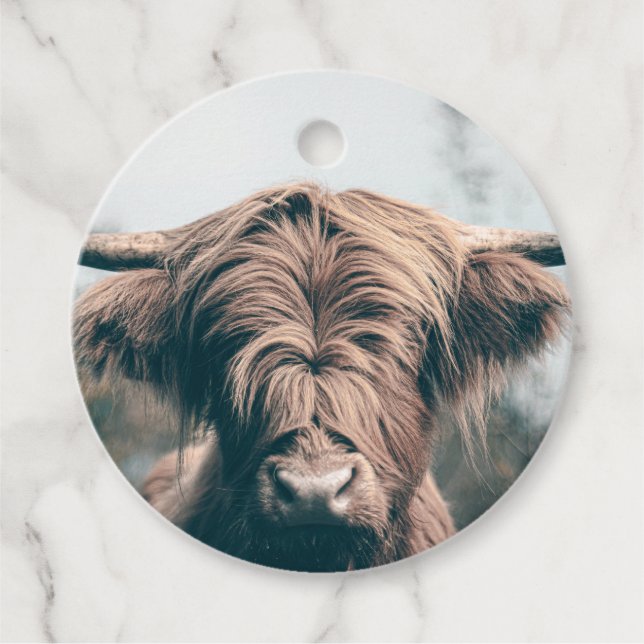 Hochlandkuhportrait Geschenkanhänger (Vorderseite)