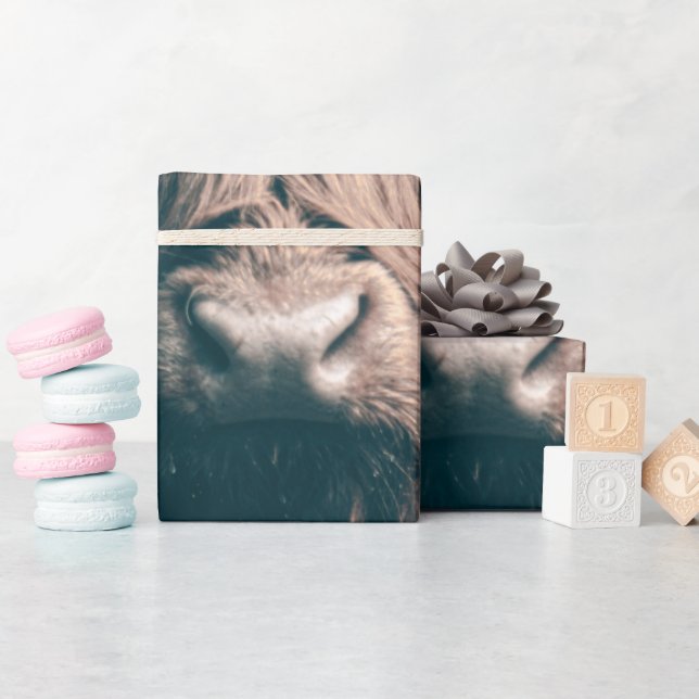 Hochlandkuhportrait Geschenkpapier (Babyparty)