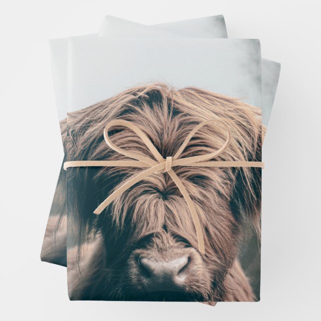 Hochlandkuhportrait Geschenkpapier Set (Beispiel)
