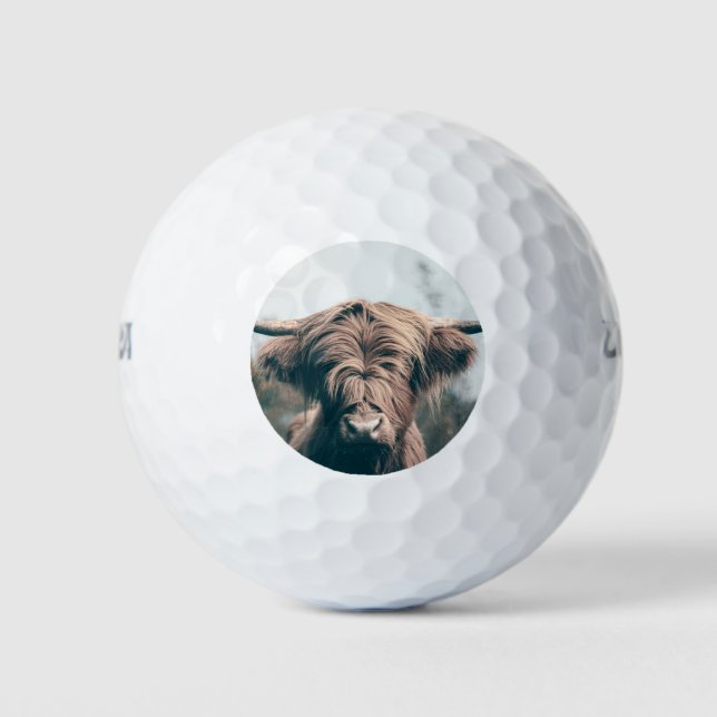 Hochlandkuhportrait Golfball (Vorderseite)