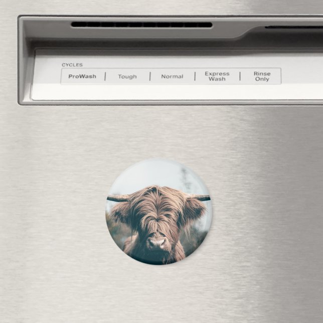Hochlandkuhportrait Magnet (In Situ (Geschirrspüler))