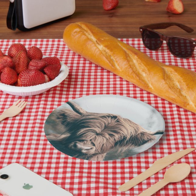 Hochlandkuhportrait Pappteller (Picknick)